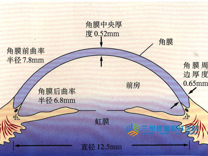 角膜飛行日記——48小時(shí)清晰之旅