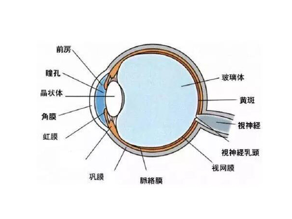 有些人眼睛發(fā)生眼底出血是什么原因